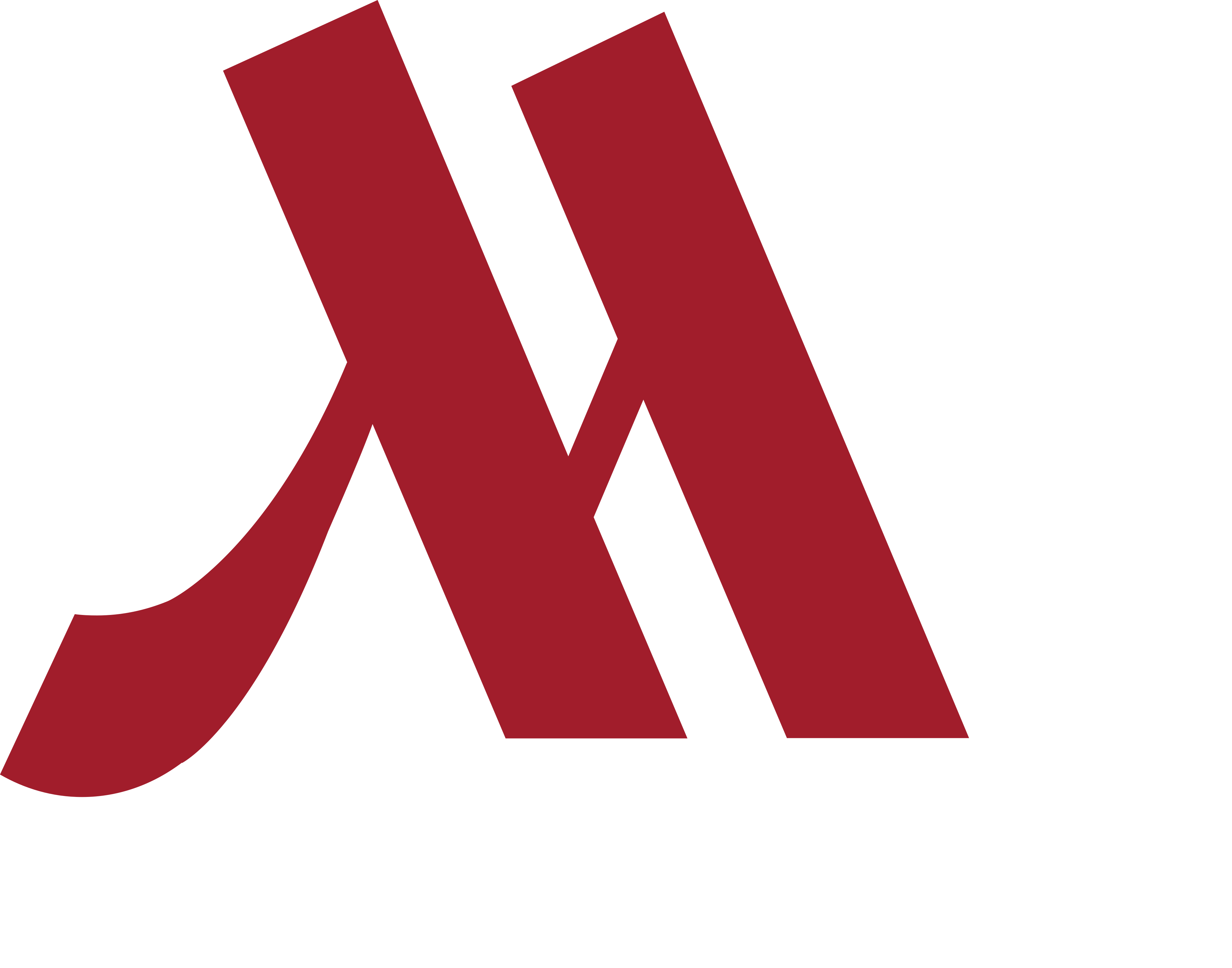 Partner 8